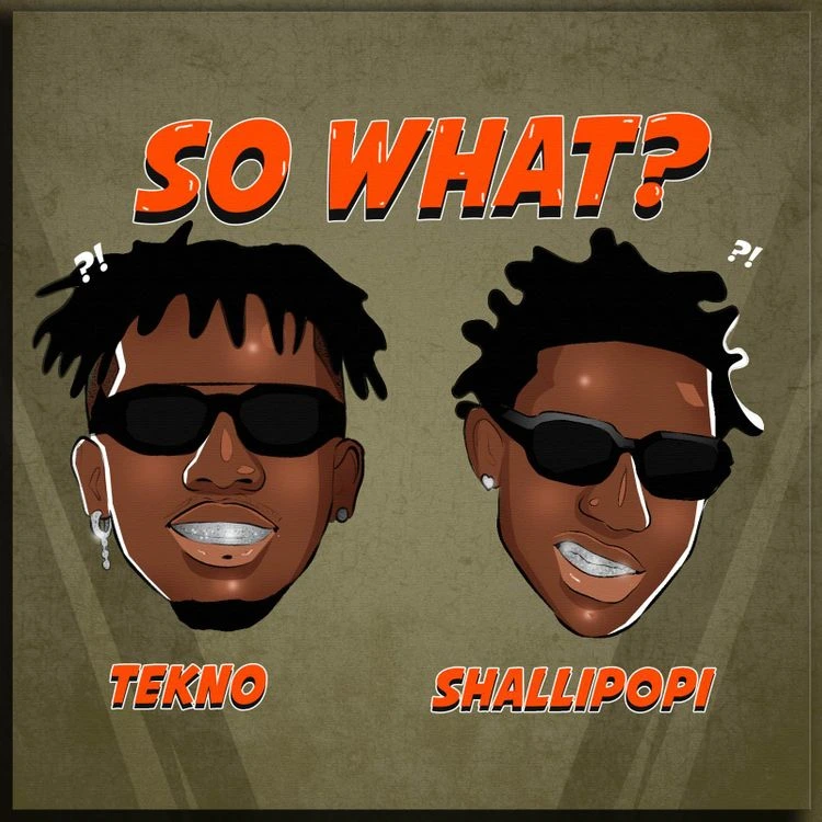 tekno so what ft shallipopi