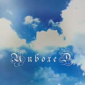 Nissi-Nobody-ft-Fireboy-DML